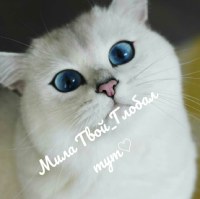 Камиль Нуриев