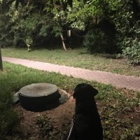 Александр Крайков