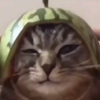 Даниил Туманов