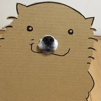 Дмитрий Бастрыгин