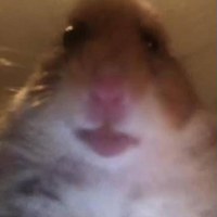 Кирилл Жирилеев