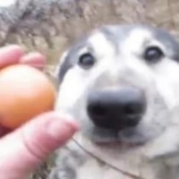 Илья Кузнецов(1)