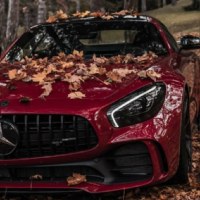 Николай Фурсов