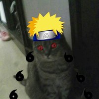 Всеволод Солуянов