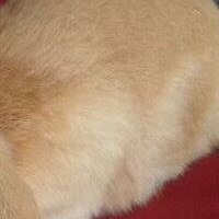 Денис Нуриев