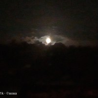 Вова Мирный