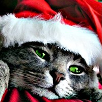 Игорь Лебедев