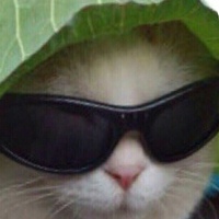 Миша Вершинин