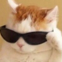 Максим Круговой