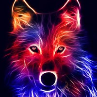 Дима Харитонов