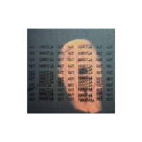 Данил Кожевин