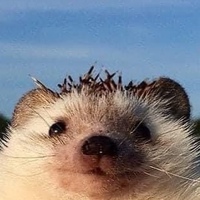 Сергей Гущин