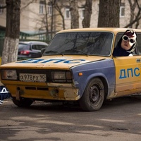 Дмитрий Кудряшов