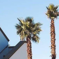 Алексей Липин