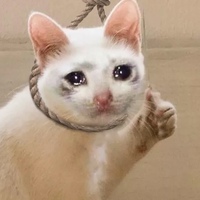 Шамиль Хакин