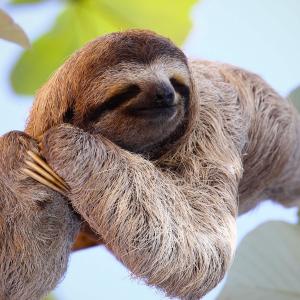 Рома Иванов