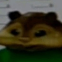 Виталий Соколов