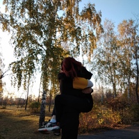 Алексей Дмитриев