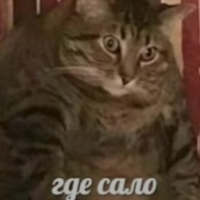 Влад Стихин