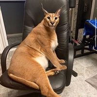 Руслан Гусманов