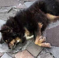 Григорий Хватков