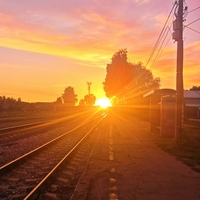 Александр Вяткин