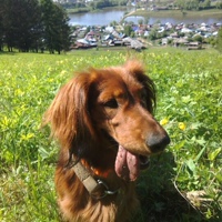 Степан Косовский