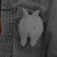 Кристина Лозгачёва'