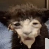 Захар Азазашников