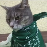 Назар Назаров