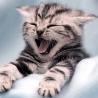 Вадим Байгузин