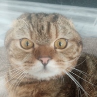 Ильнур Ахметов