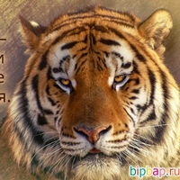 Артем Дурнев