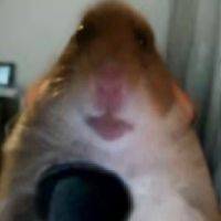 Кирилл Феденёв