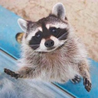 Даниил Солнцев