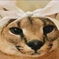 Никита Петровский