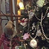 Артём Вологдин