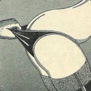 Ⓢ  SlasH_QuiT  Ⓠ