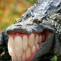 Дмитрий Лисюченко