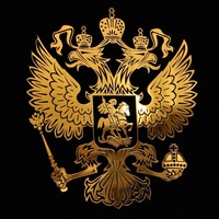 Николай Котов