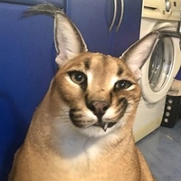 Кирилл Баджурак