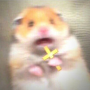 \(•◡•)/СвЯщЕнНыЙ