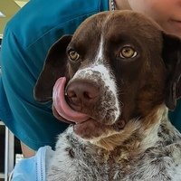 Вадим Половых