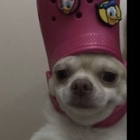 Егор Сергушев