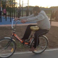 Марко Станоевич