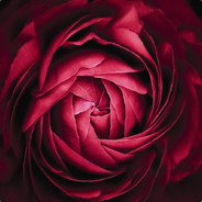 залупоносец