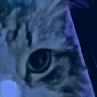 Кирилл Зябликов