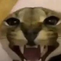 Рома Ермаков