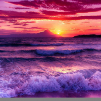 Виталик Садовничий