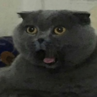 Артём Орлов(2)